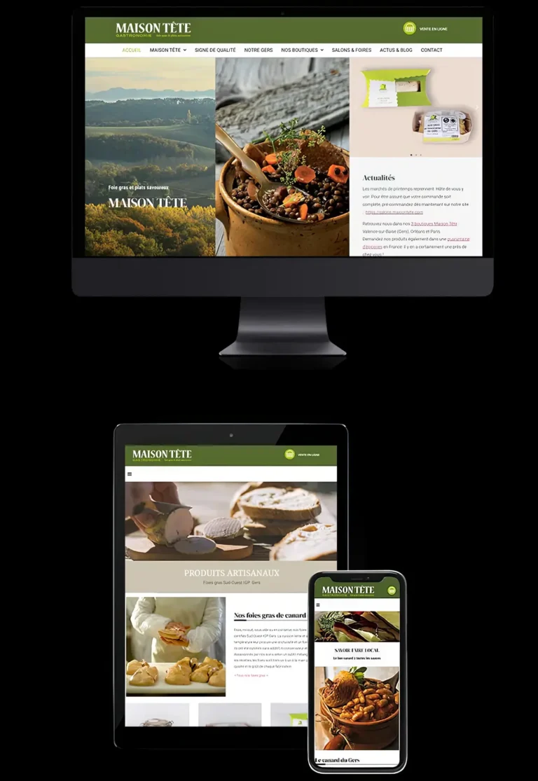 maison-tete-site-web-communication-agence-studio-np-toulouseHD